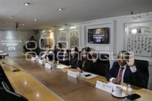 CONGRESO . COMISIÓN SEGURIDAD PÚBLICA