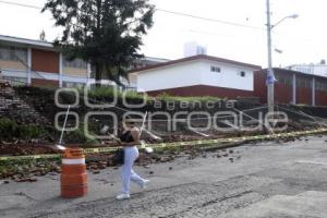 LLUVIA . BARDA CAÍDA