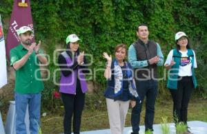 TLAXCALA . CAMPAÑA DE FORESTACIÓN