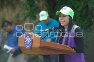 TLAXCALA . CAMPAÑA DE FORESTACIÓN