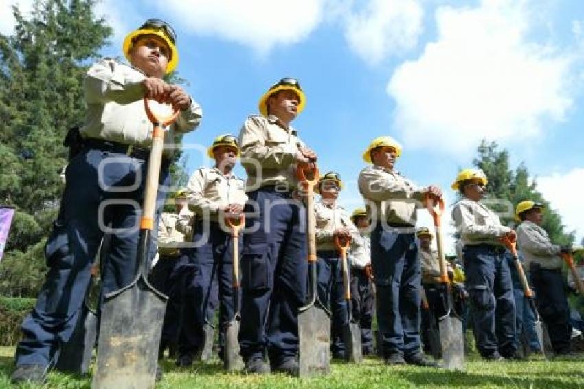 TLAXCALA . CAMPAÑA DE FORESTACIÓN
