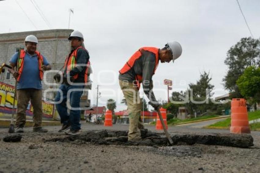 TLAXCALA . BACHEO