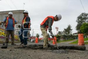TLAXCALA . BACHEO