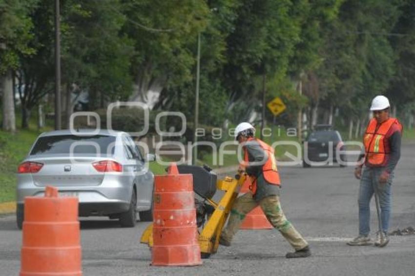 TLAXCALA . BACHEO