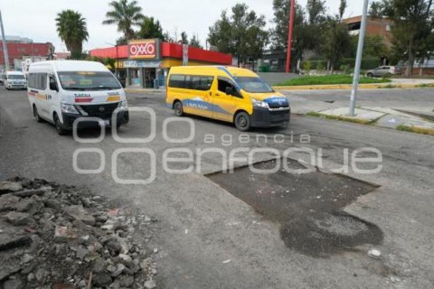 TLAXCALA . BACHEO