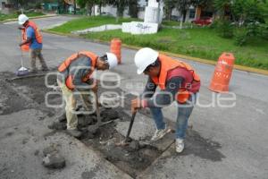 TLAXCALA . BACHEO