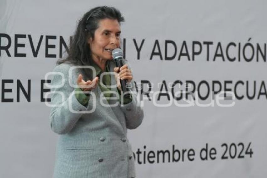 TLAXCALA . CONCEPCIÓN MARTÍNEZ RODRÍGUEZ