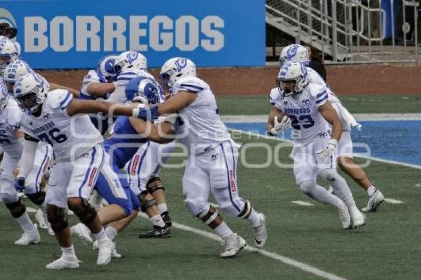 FÚTBOL AMERICANO . BORREGOS VS CEM