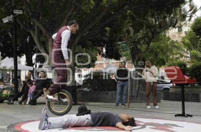 IMACP . ACTIVIDADES CULTURALES