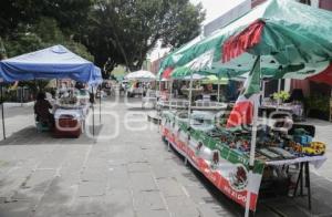 BAZAR . LOS SAPOS