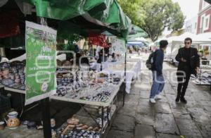 BAZAR . LOS SAPOS