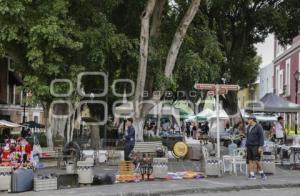 BAZAR . LOS SAPOS