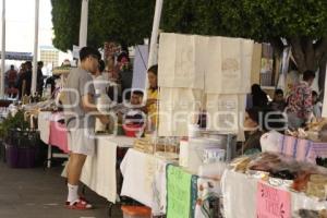 FIESTA DEL CACAO