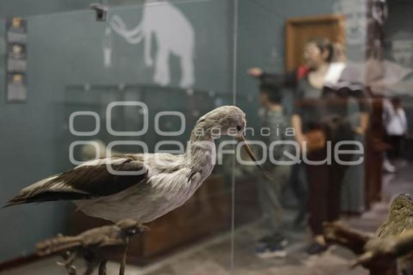 NOCHE DE MUSEOS