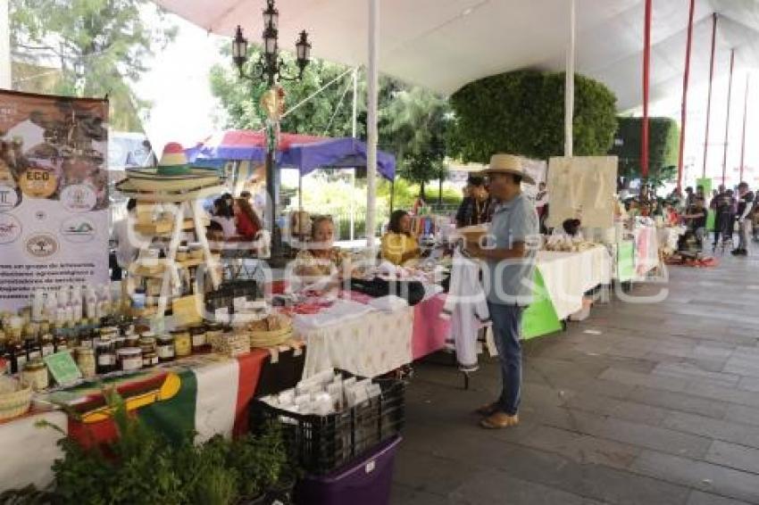 FIESTA DEL CACAO