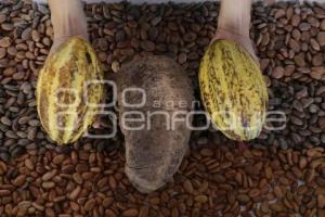 FIESTA DEL CACAO