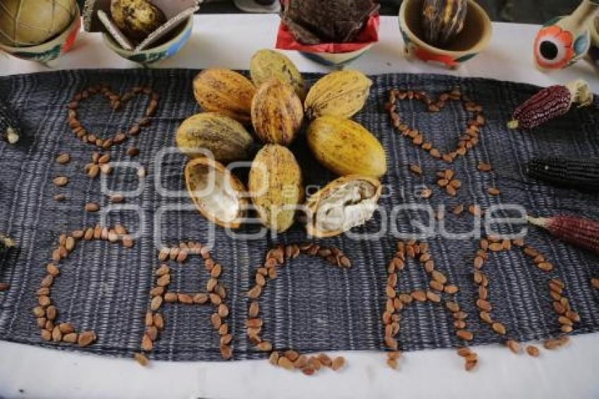 FIESTA DEL CACAO