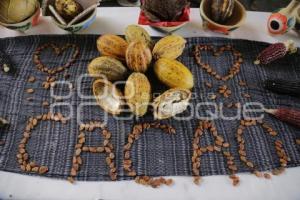 FIESTA DEL CACAO