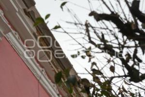 TLAXCALA . REPARACIÓN FACHADA CCOM