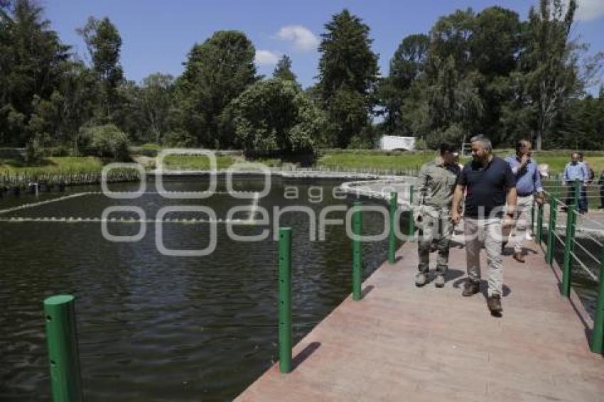 AYUNTAMIENTO . PARQUE DEL AJOLOTE