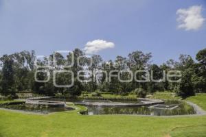 AYUNTAMIENTO . PARQUE DEL AJOLOTE