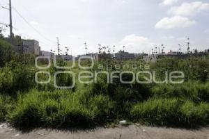 XOCHIMEHUACÁN . VIVIENDAS PARA DAMNIFICADOS