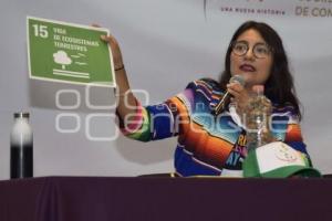 TLAXCALA . SEXTO COLILLATÓN