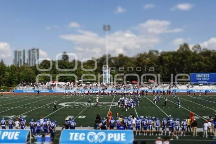FÚTBOL AMERICANO . BORREGOS VS BURROS BLANCOS