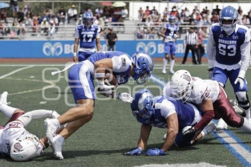 FÚTBOL AMERICANO . BORREGOS VS BURROS BLANCOS