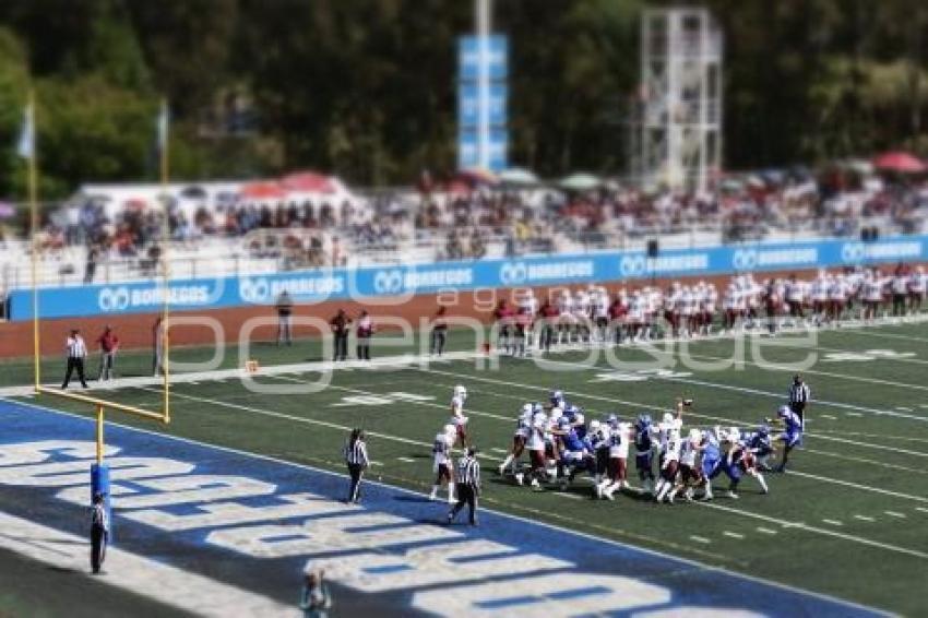 FÚTBOL AMERICANO . BORREGOS VS BURROS BLANCOS