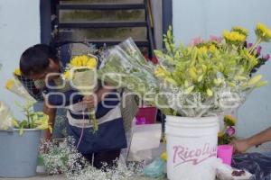 TLAXCALA . FLORES AMARILLAS