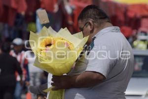TLAXCALA . FLORES AMARILLAS