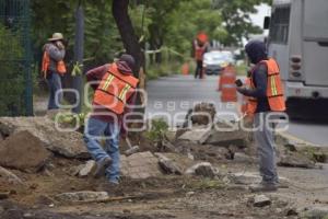 TLAXCALA . REMODELACIÓN AVENIDA PUEBLA