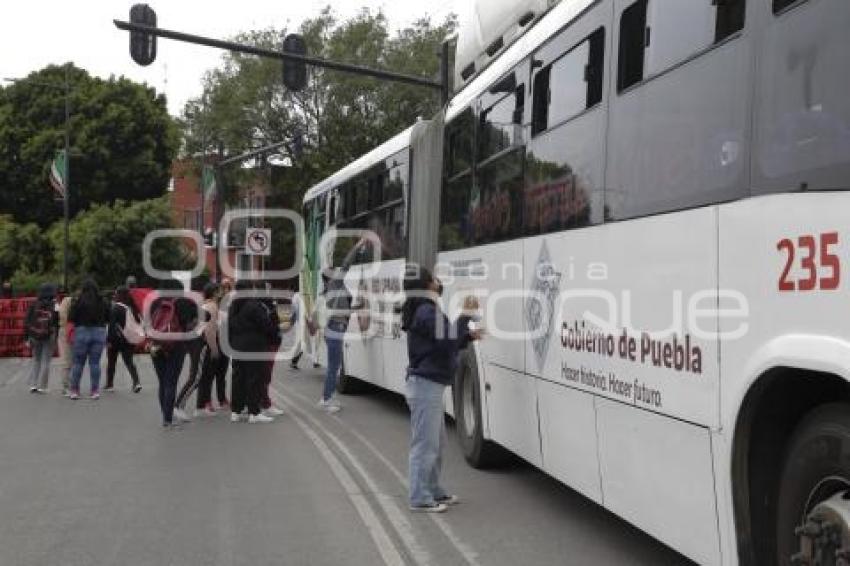 MANIFESTACIÓN . NORMAL DE TETELES