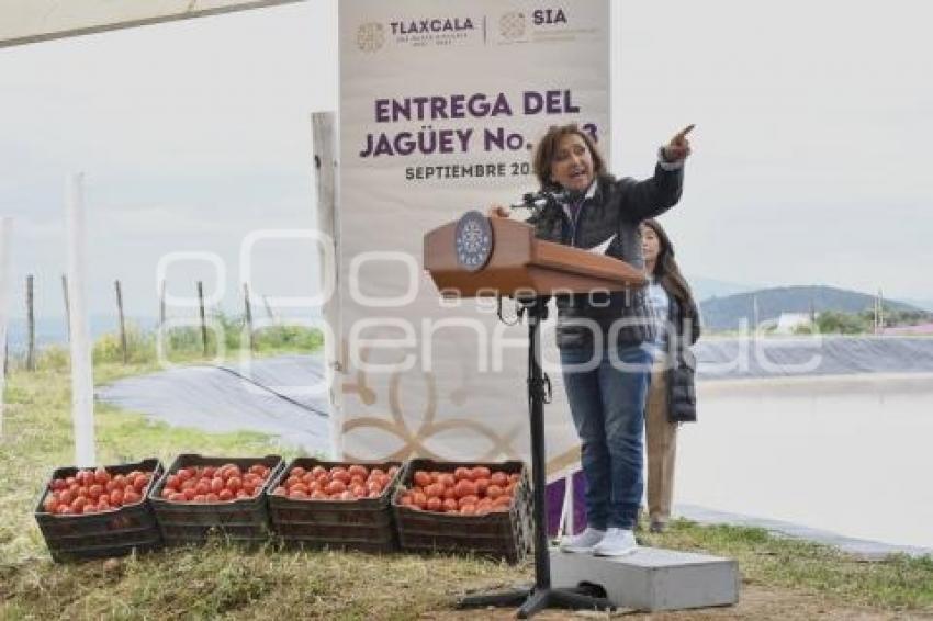 TLAXCALA . JAGÜEY 633