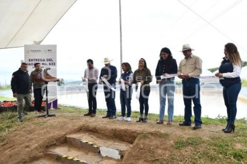 TLAXCALA . JAGÜEY 633