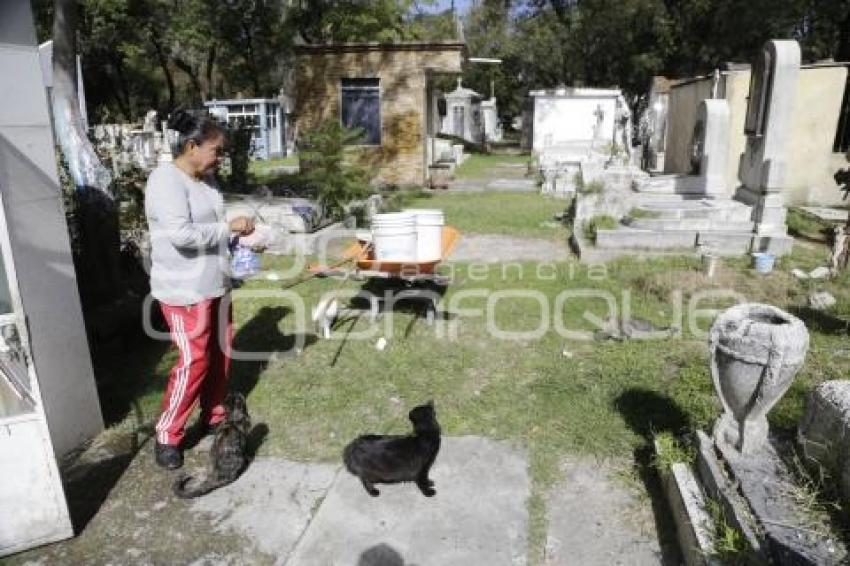 PANTEÓN MUNICIPAL . GATOS