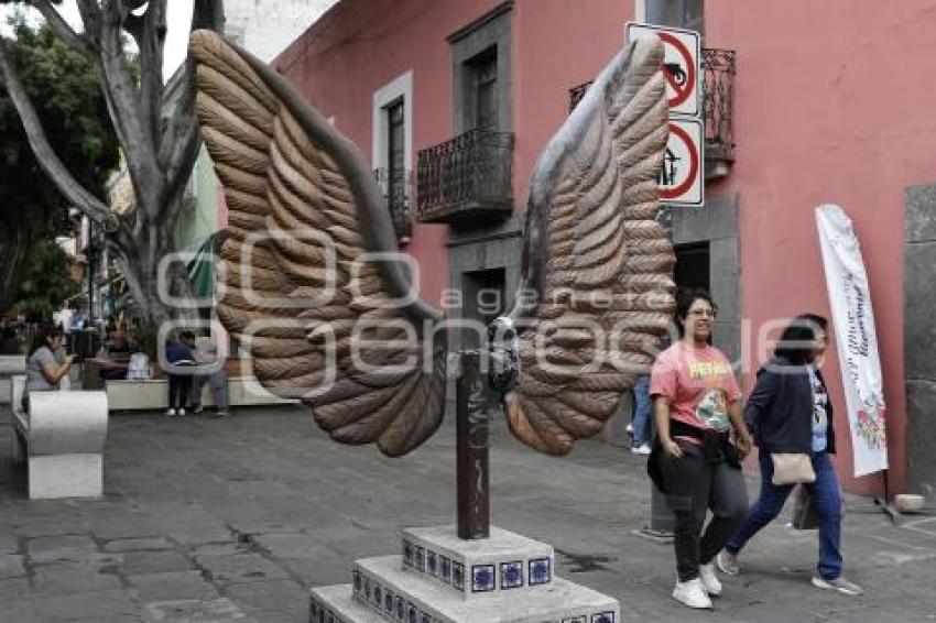 8 NORTE . ALAS