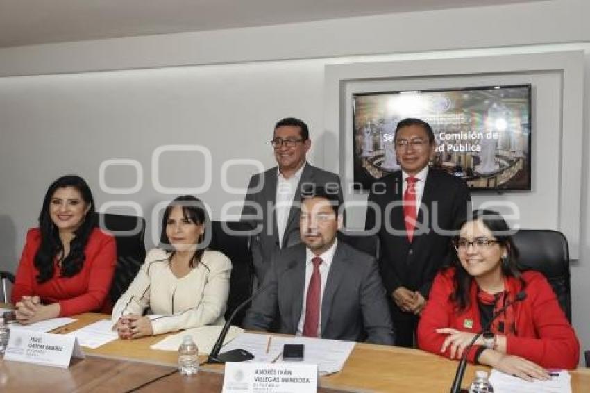 CONGRESO . COMISIÓN SEGURIDAD PÚBLICA