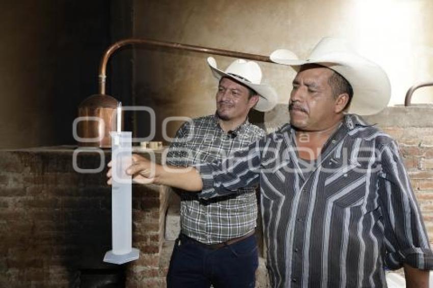 TEHUACÁN . MEZCAL