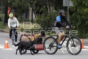 VÍA RECREATIVA METROPOLITANA