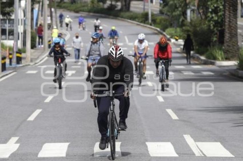 VÍA RECREATIVA METROPOLITANA