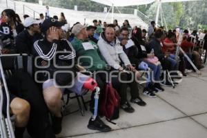 SEDIF . ENTREGA DE PRÓTESIS