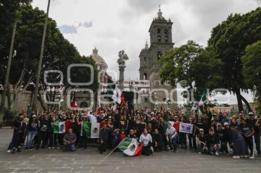 MANIFESTACIÓN . PODER JUDICIAL