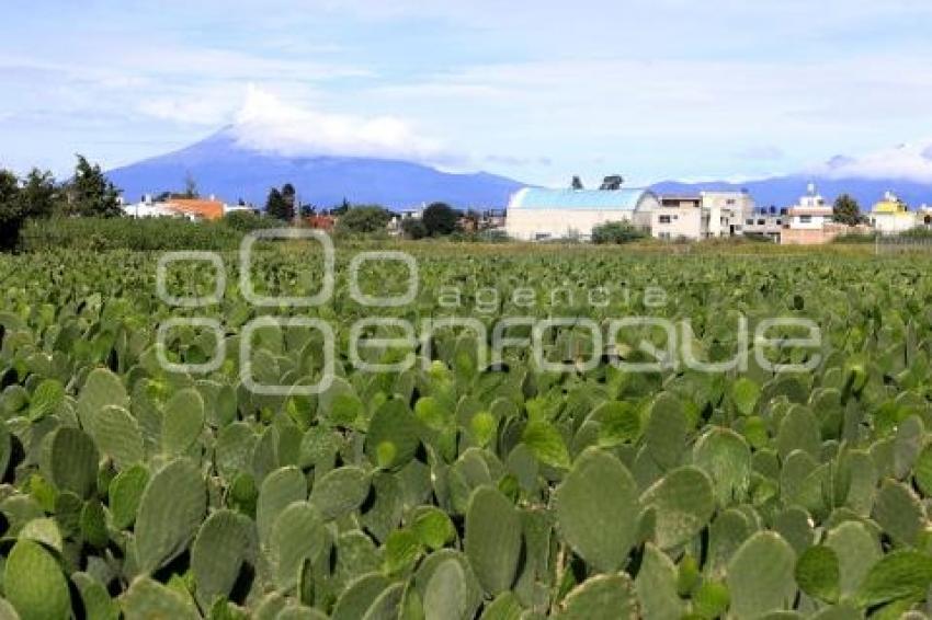 VOLCÁN POPOCATÉPETL