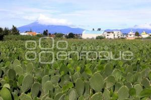 VOLCÁN POPOCATÉPETL
