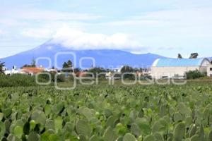 VOLCÁN POPOCATÉPETL