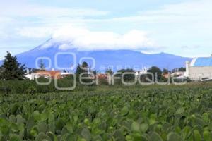 VOLCÁN POPOCATÉPETL