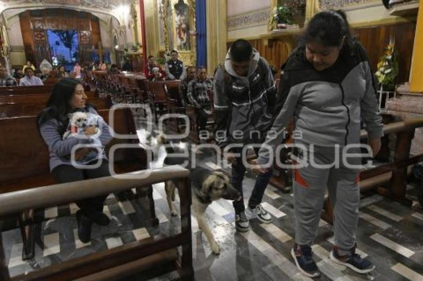 TLAXCALA . BENDICIÓN ANIMALES