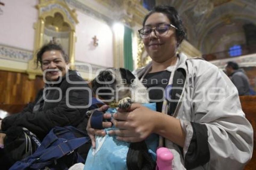 TLAXCALA . BENDICIÓN ANIMALES